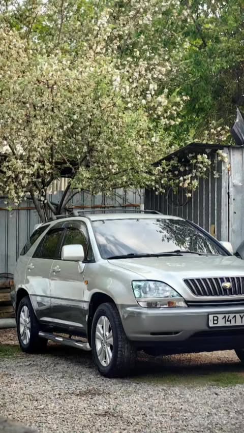 Серебристый Lexus RX300 — готовая работа